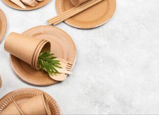 Dlaczego talerze papierowe to must-have na sezon letni